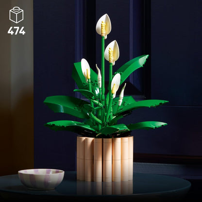 LEGO Botanicals Barış Çiçeği 11504 Sonsuz Çiçek 474 Parça