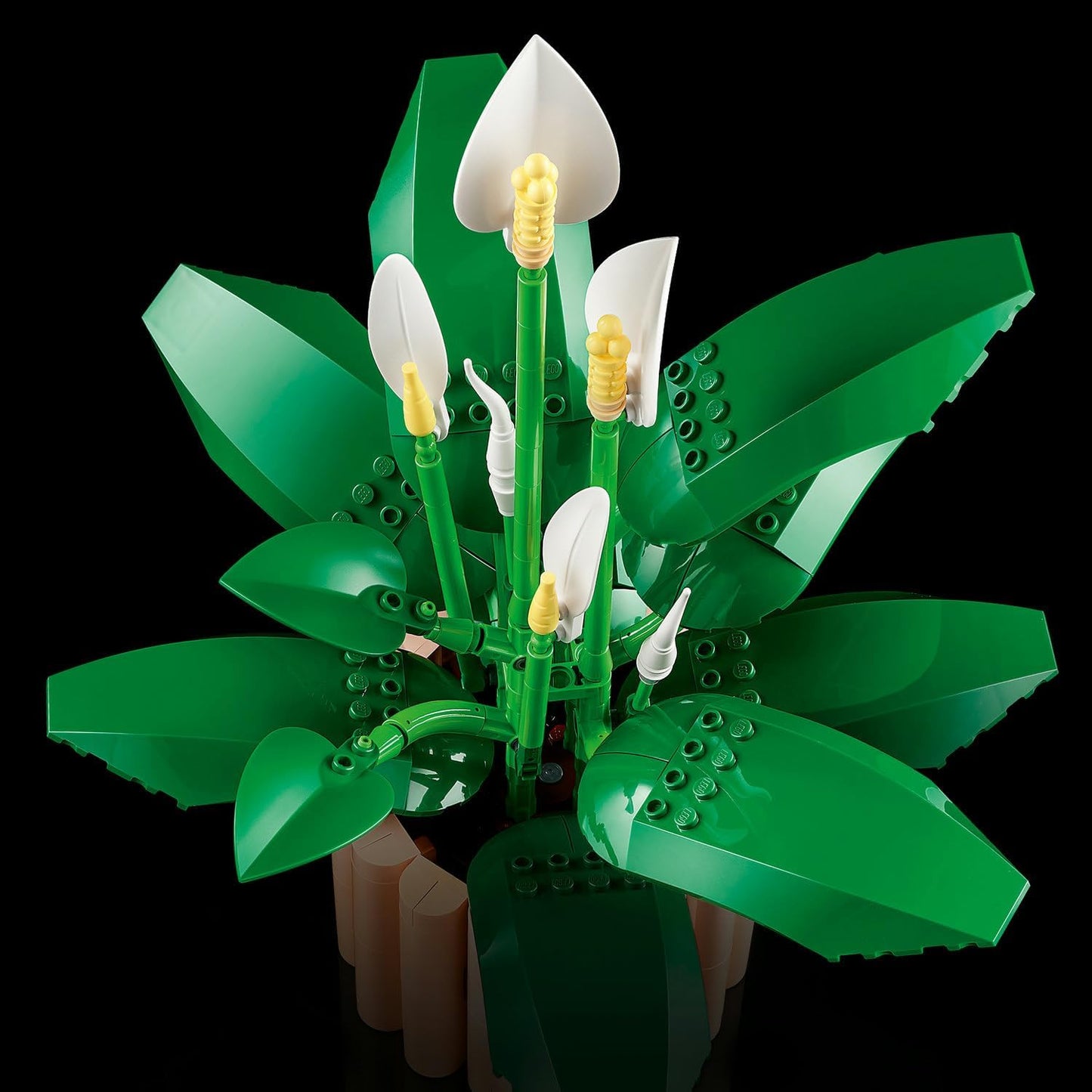LEGO Botanicals Barış Çiçeği 11504 Sonsuz Çiçek 474 Parça